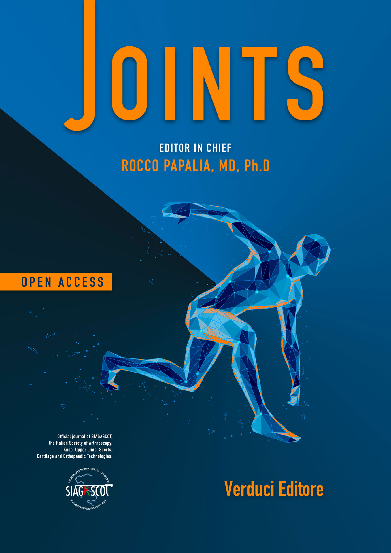 Joints | Verduci Editore